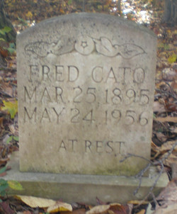 Fred Cato 