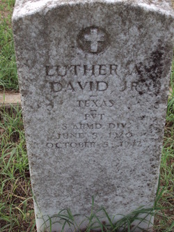 Luther Anvil David Jr.