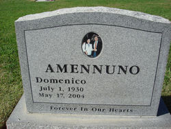 Domenico Amennuno 
