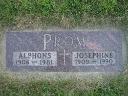 Alphons John Prom 