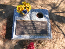 Walter Vinzant Allen Jr.