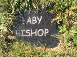 Baby Bishop 