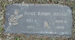 Alice Johnston <I>Kessel</I> Allison 
