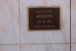 Joseph Michael Addison 