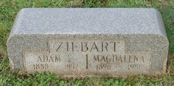 Adam L Ziebart 