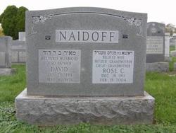 Dr David Naidoff 