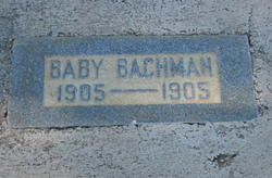 Baby Bachman 