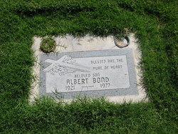 Albert Calico Bond 