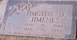 Timoteo Jimenes Jr.