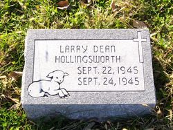 Larry Dean Hollingsworth 