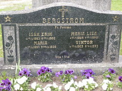 Maria Lisa <I>Fant</I> Bergström 