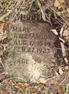 Mary Ann <I>Barnhill</I> Williamson 