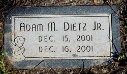 Adam M. Dietz Jr.
