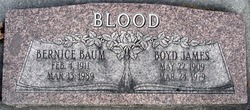 Boyd James Blood 
