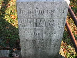 William B Hays 