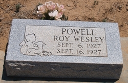 Roy Wesley Powell 