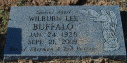 Wilburn Lee Buffalo 