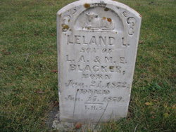Leland Lot Blacker 
