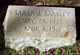 Sarah Jane <I>Blue</I> Barnett 