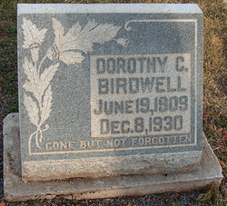 Dorothy C. Birdwell 