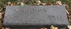 James A Dimon 