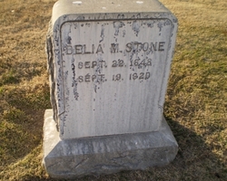 Delia M Stone 
