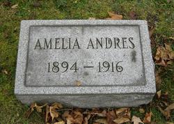 Amelia Pauline Andres 