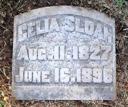 Celia D. <I>Williams</I> Sloan 