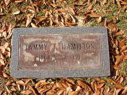 Tammy J Hamilton 