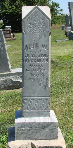 Albin W Bergman 
