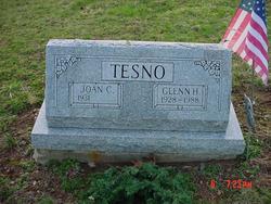 Glenn H Tesno 