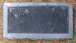 Andrew Jackson Herring 