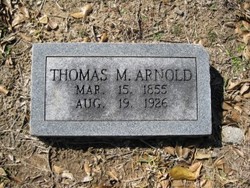 Thomas M Arnold 