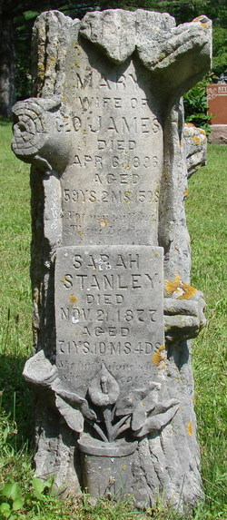 Mary Louise <I>Stanley</I> James 