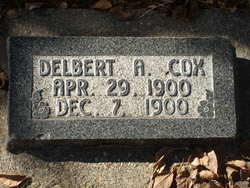 Delbert Augustus Cox 