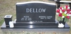 Peter Dellow 