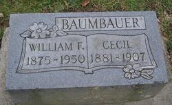 Cecil <I>Hummer</I> Baumbauer 
