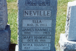 Mrs Hanora <I>Neville</I> Hammill 