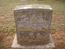 Mary Temperance <I>Hughes</I> Dismukes 