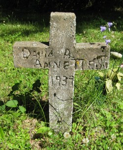 David A. Annette 