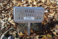 Baby Requa 