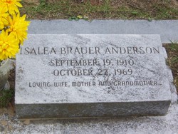 Isalea <I>Brauer</I> Anderson 