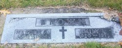 Harold A Brown 