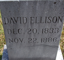 David Ellison 
