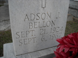 Adson J Bellon 