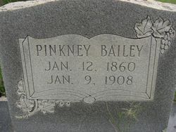 Elihu Pinkey Bailey 