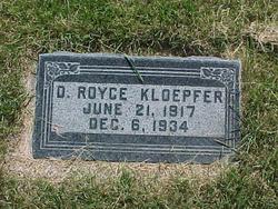 D Royce Kloepfer 