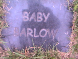 Infant Barlow 