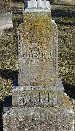 Andrew York 