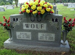 David E. Wolf 